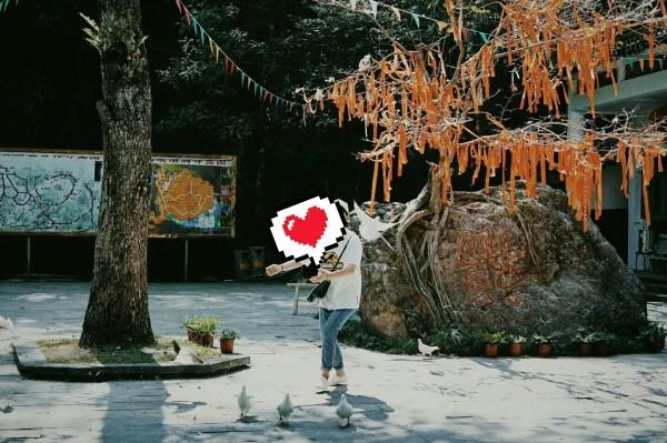 拯救精灵的土地9
