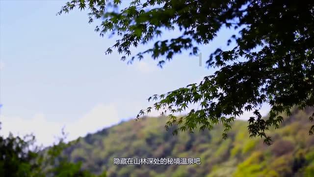 辛巴称预制菜最适合孩子，网友怒吐槽，你家宝贝吃吗？