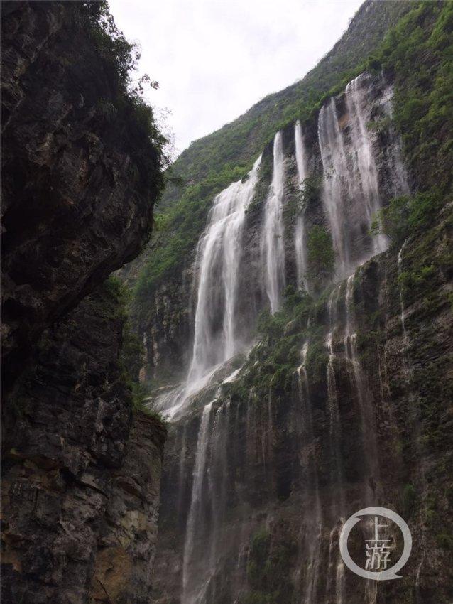 虫虫助手下载