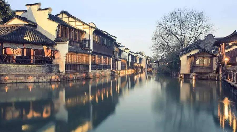 逃离白鸽之森